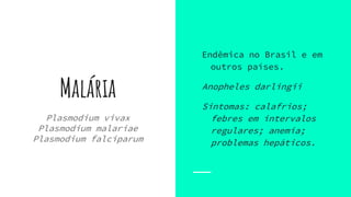Malária
Plasmodium vivax
Plasmodium malariae
Plasmodium falciparum
Endêmica no Brasil e em
outros países.
Anopheles darlingii
Sintomas: calafrios;
febres em intervalos
regulares; anemia;
problemas hepáticos.
 