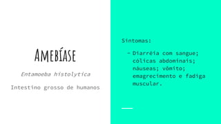 Amebíase
Entamoeba histolytica
Intestino grosso de humanos
Sintomas:
- Diarréia com sangue;
cólicas abdominais;
náuseas; vômito;
emagrecimento e fadiga
muscular.
 