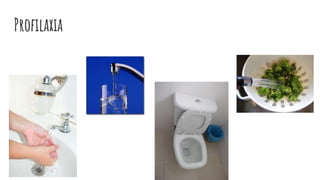 Profilaxia
 