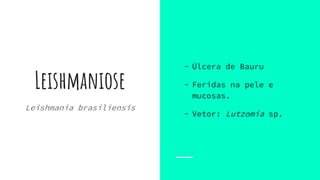 Leishmaniose
Leishmania brasiliensis
- Úlcera de Bauru
- Feridas na pele e
mucosas.
- Vetor: Lutzomia sp.
 