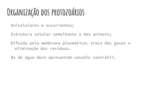 Organização dos protozoários
Unicelulares e eucariontes;
Estrutura celular semelhante à dos animais;
Difusão pela membrana plasmática: troca dos gases e
eliminação dos resíduos.
Os de água doce apresentam vacuólo contrátil.
 