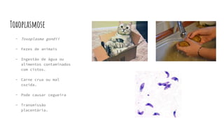 Toxoplasmose
- Toxoplasma gondii
- Fezes de animais
- Ingestão de água ou
alimentos contaminados
com cistos.
- Carne crua ou mal
cozida.
- Pode causar cegueira
- Transmissão
placentária.
 