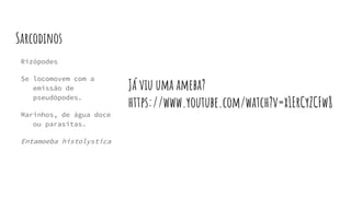 Sarcodinos
Rizópodes
Se locomovem com a
emissão de
pseudópodes.
Marinhos, de água doce
ou parasitas.
Entamoeba histolystica
Já viu uma ameba?
https://www.youtube.com/watch?v=x1ErCyZCFw8
 