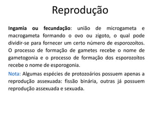 Reprodução
Ingamia ou fecundação: união de microgameta e
macrogameta formando o ovo ou zigoto, o qual pode
dividir-se para fornecer um certo número de esporozoítos.
O processo de formação de gametes recebe o nome de
gametogonia e o processo de formação dos esporozoítos
recebe o nome de esporogonia.
Nota: Algumas espécies de protozoários possuem apenas a
reprodução assexuada: fissão binária, outras já possuem
reprodução assexuada e sexuada.
 