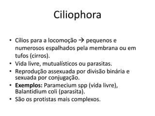 Ciliophora
• Cílios para a locomoção  pequenos e
numerosos espalhados pela membrana ou em
tufos (cirros).
• Vida livre, mutualísticos ou parasitas.
• Reprodução assexuada por divisão binária e
sexuada por conjugação.
• Exemplos: Paramecium spp (vida livre),
Balantidium coli (parasita).
• São os protistas mais complexos.
 