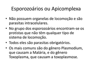 Esporozoários ou Apicomplexa
• Não possuem organelas de locomoção e são
parasitas intracelulares.
• No grupo dos esporozoários encontram-se os
protistas que não têm qualquer tipo de
sistema de locomoção.
• Todos eles são parasitas obrigatórios.
• Os mais comuns são do gênero Plasmodium,
que causam a Malária, e do gênero
Toxoplasma, que causam a toxoplasmose.
 