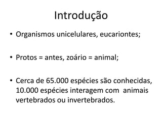 Introdução
• Organismos unicelulares, eucariontes;
• Protos = antes, zoário = animal;
• Cerca de 65.000 espécies são conhecidas,
10.000 espécies interagem com animais
vertebrados ou invertebrados.
 