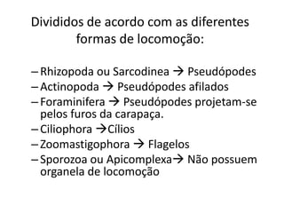 Divididos de acordo com as diferentes
formas de locomoção:
–Rhizopoda ou Sarcodinea  Pseudópodes
–Actinopoda  Pseudópodes afilados
–Foraminifera  Pseudópodes projetam-se
pelos furos da carapaça.
–Ciliophora Cílios
–Zoomastigophora  Flagelos
–Sporozoa ou Apicomplexa Não possuem
organela de locomoção
 