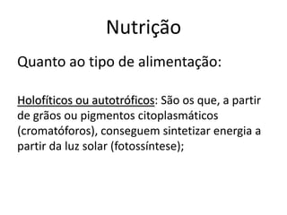 Nutrição
Quanto ao tipo de alimentação:
Holofíticos ou autotróficos: São os que, a partir
de grãos ou pigmentos citoplasmáticos
(cromatóforos), conseguem sintetizar energia a
partir da luz solar (fotossíntese);
 