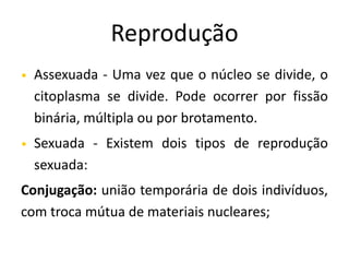 Reprodução
• Assexuada - Uma vez que o núcleo se divide, o
citoplasma se divide. Pode ocorrer por fissão
binária, múltipla ou por brotamento.
• Sexuada - Existem dois tipos de reprodução
sexuada:
Conjugação: união temporária de dois indivíduos,
com troca mútua de materiais nucleares;
 