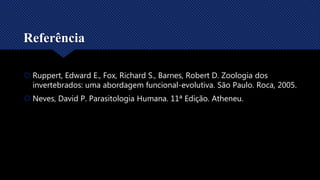 Referência
 Ruppert, Edward E., Fox, Richard S., Barnes, Robert D. Zoologia dos
invertebrados: uma abordagem funcional-evolutiva. São Paulo. Roca, 2005.
 Neves, David P. Parasitologia Humana. 11ª Edição. Atheneu.
 