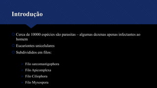 Introdução
 Cerca de 10000 espécies são parasitas – algumas dezenas apenas infectantes ao
homem
 Eucariontes unicelulares
 Subdivididos em filos:
 Filo sarcomastigophora
 Filo Apicomplexa
 Filo Ciliophora
 Filo Myxospora
 