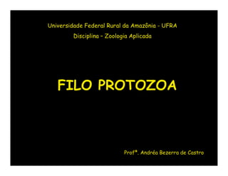 Universidade Federal Rural da Amazônia - UFRA
        Disciplina – Zoologia Aplicada




   FILO PROTOZOA



                           Profª. Andréa Bezerra de Castro
 