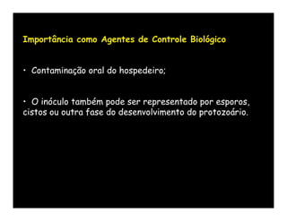 Importância como Agentes de Controle Biológico


• Contaminação oral do hospedeiro;


• O inóculo também pode ser representado por esporos,
cistos ou outra fase do desenvolvimento do protozoário.
 