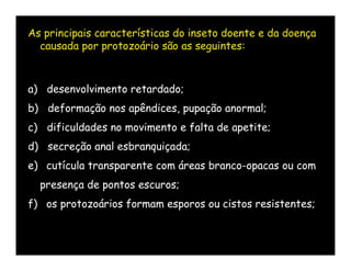 As principais características do inseto doente e da doença
  causada por protozoário são as seguintes:



a) desenvolvimento retardado;
b) deformação nos apêndices, pupação anormal;
c) dificuldades no movimento e falta de apetite;
d) secreção anal esbranquiçada;
e) cutícula transparente com áreas branco-opacas ou com
  presença de pontos escuros;
f) os protozoários formam esporos ou cistos resistentes;
 