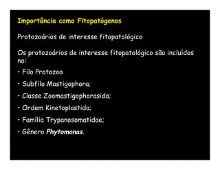 Importância como Fïtopatógenos

Protozoários de interesse fitopatológico

Os protozoários de interesse fitopatológico são incluídos
no:
• Filo Protozoa
• Subfilo Mastigophora;
• Classe Zoomastigophorasida;
• Ordem Kinetoplastida;
• Família Trypanosomatidae;
• Gênero Phytomonas.
 