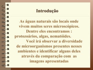 Introdução

   As águas naturais são locais onde
   vivem muitos seres microscópicos.
       Dentre eles encontramos :
protozoários, algas, nematóides.
       Você irá observar a diversidade
 de microorganismos presentes nesses
  ambientes e identificar alguns deles
    através da comparação com as
        imagens apresentadas
 