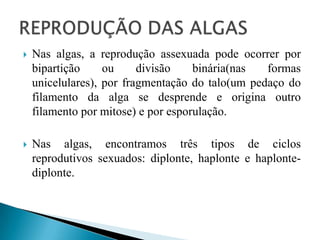  Nas algas, a reprodução assexuada pode ocorrer por
bipartição ou divisão binária(nas formas
unicelulares), por fragmentação do talo(um pedaço do
filamento da alga se desprende e origina outro
filamento por mitose) e por esporulação.
 Nas algas, encontramos três tipos de ciclos
reprodutivos sexuados: diplonte, haplonte e haplonte-
diplonte.
 