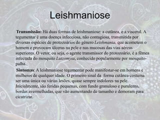 Transmissão: Há duas formas de leishmaniose: a cutânea, e a visceral. A
tegumentar é uma doença infecciosa, não contagiosa, transmitida por
diversas espécies de protozoários do gênero Leishmania, que acometem o
homem e provocam úlceras na pele e nas mucosas das vias aéreas
superiores. O vetor, ou seja, o agente transmissor do protozoário, é a fêmea
infectada do mosquito Lutzomyia, conhecido popularmente por mosquito-
palha.
Sintomas: A leishmaniose tegumentar pode manifestar-se em homens e
mulheres de qualquer idade. O primeiro sinal da forma cutânea costuma
ser uma única ou várias lesões, quase sempre indolores na pele.
Inicialmente, são feridas pequenas, com fundo granuloso e purulento,
bordas avermelhadas, que vão aumentando de tamanho e demoram para
cicatrizar.
Leishmaniose
 
