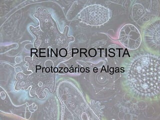 REINO PROTISTA
Protozoários e Algas
 