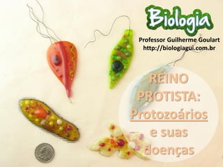 REINO
PROTISTA:
Protozoários
e suas
doenças
Professor Guilherme Goulart
http://biologiagui.com.br
 