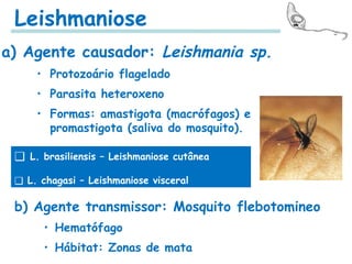 Leishmaniose
a) Agente causador: Leishmania sp.
• Protozoário flagelado
• Parasita heteroxeno
• Formas: amastigota (macrófagos) e
promastigota (saliva do mosquito).
❑ L. brasiliensis – Leishmaniose cutânea
❑ L. chagasi – Leishmaniose visceral
b) Agente transmissor: Mosquito flebotomineo
• Hematófago
• Hábitat: Zonas de mata
 