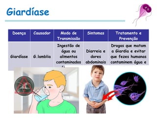Giardíase
Doença Causador Modo de
Transmissão
Sintomas Tratamento e
Prevenção
Giardíase G.lamblia
Ingestão de
água ou
alimentos
contaminados
(cistos)
Diarreia e
dores
abdominais
Drogas que matam
a Giardia e evitar
que fezes humanas
contaminem água e
alimentos
 