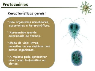 Características gerais:
Protozoários
São organismos unicelulares,
eucariontes e heterotróficos.
Apresentam grande
diversidade de formas.
Modo de vida: livres,
parasitas ou em simbiose com
outros organismos.
A maioria pode apresentar
uma forma trofozoítica ou
cística.
 