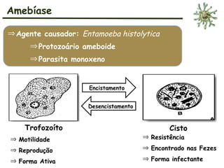 Amebíase
ÞAgente causador: Entamoeba histolytica
ÞProtozoário ameboide
ÞParasita monoxeno
Trofozoíto Cisto
Encistamento
Desencistamento
Þ Resistência
Þ Encontrado nas Fezes
Þ Forma infectante
Þ Motilidade
Þ Reprodução
Þ Forma Ativa
 