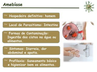 Amebíase
 Hospedeiro definitivo: homem
 Local de Parasitismo: Intestino
 Formas de Contaminação:
Ingestão dos cistos na água ou
alimentos.
 Sintomas: Diarreia, dor
abdominal e apatia.
 Profilaxia: Saneamento básico
e higienizar bem os alimentos.
 