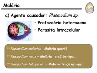 Malária
a) Agente causador: Plasmodium sp.
• Protozoário heteroxeno
• Parasita intracelular
Plasmodium malariae- Malária quartã.
Plasmodium vivax – Malária terçã benigna.
Plasmodium falciparum – Malária terçã maligna.
 