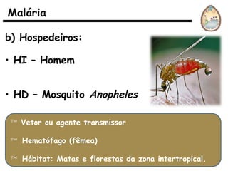 b) Hospedeiros:
• HI – Homem
• HD – Mosquito Anopheles
Malária
 Vetor ou agente transmissor
 Hematófago (fêmea)
 Hábitat: Matas e florestas da zona intertropical.
 