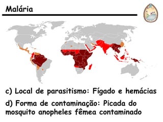 c) Local de parasitismo: Fígado e hemácias
d) Forma de contaminação: Picada do
mosquito anopheles fêmea contaminado
Malária
 