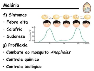 f) Sintomas
• Febre alta
• Calafrio
• Sudorese
g) Profilaxia
• Combate ao mosquito Anopheles
• Controle químico
• Controle biológico
Malária
 