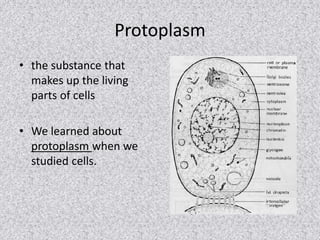 Protoplasm 
• the substance that 
makes up the living 
parts of cells 
• We learned about 
protoplasm when we 
studied cells. 
 