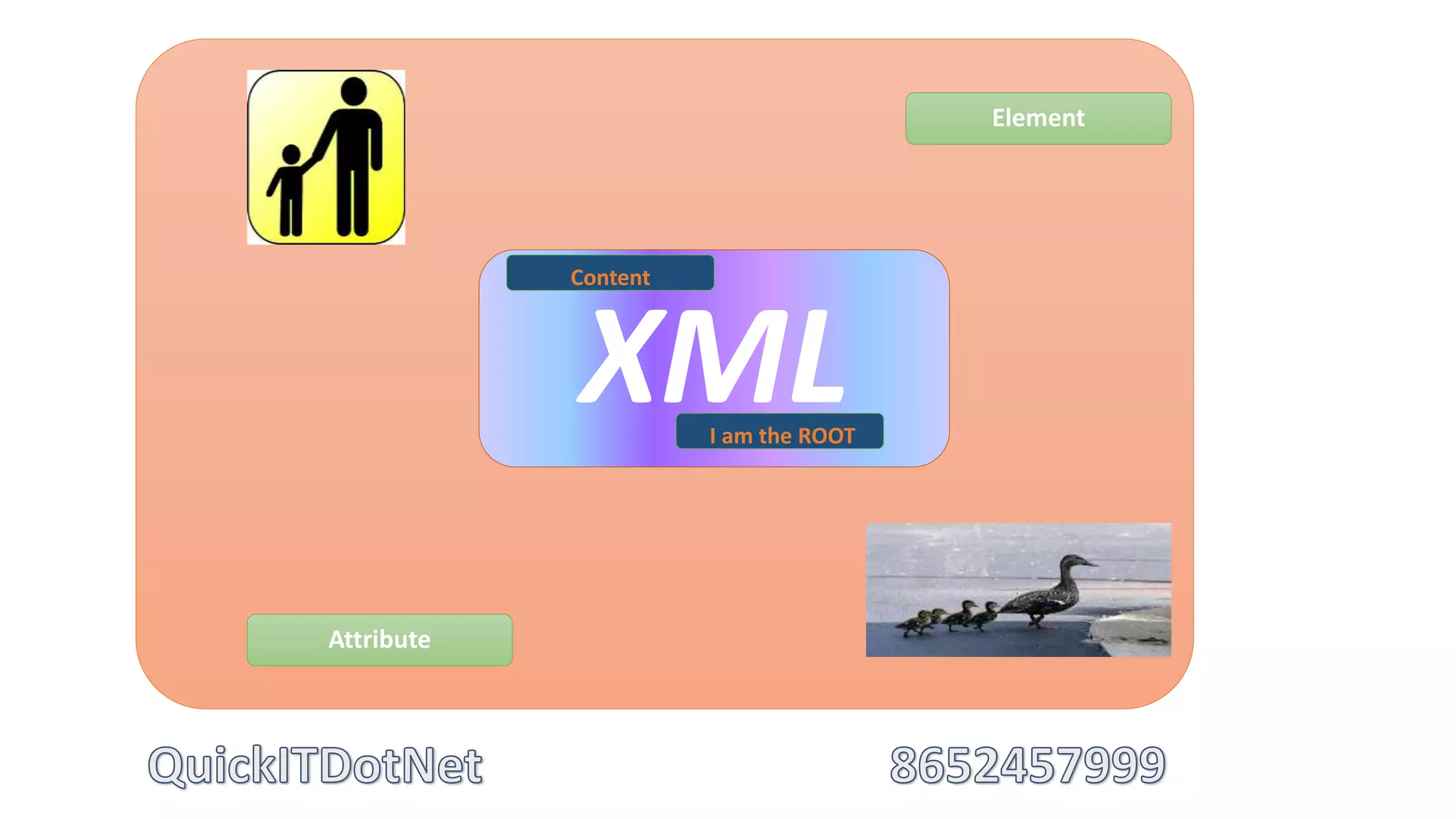 XMLI am the ROOT
Attribute
Element
Content
 