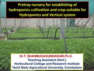Protray nursery for establishing of
hydroponics cultivation and crop suitable for
Hydroponics and Vertical system
Dr.T. SHANMUGASUNDARAM,Ph.D.
Teaching Assistant (Hort.)
Horticultural College and Research Institute
Tamil Nadu Agricultural University, Coimbatore
 