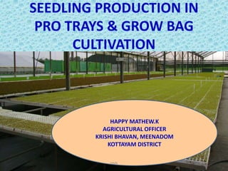 SEEDLING PRODUCTION IN
PRO TRAYS & GROW BAG
CULTIVATION
HAPPY MATHEW.K
AGRICULTURAL OFFICER
KRISHI BHAVAN, MEENADOM
KOTTAYAM DISTRICT
HMK
 