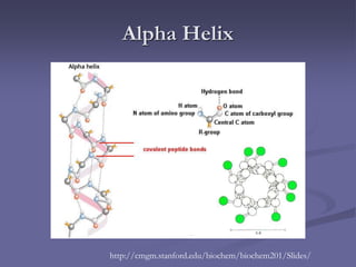 ProtStruct ppt (1).pdf amino acids ppt Proteins structure Primary ...