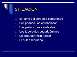 SITUACIÓNEl istmo del cerebelo comprendeLos pedúnculos cerebelososLos pedúnculos cerebralesLos tubérculos cuadrigéminosLa protuberancia anularEl bulbo raquídeo