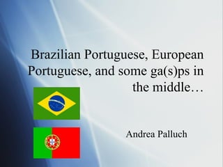 Brazilian Portuguese, European
Portuguese, and some ga(s)ps in
the middle…
Andrea Palluch
 