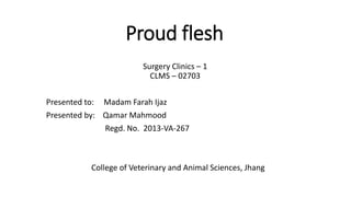 Proud flesh
Surgery Clinics – 1
CLMS – 02703
Presented to: Madam Farah Ijaz
Presented by: Qamar Mahmood
Regd. No. 2013-VA-267
College of Veterinary and Animal Sciences, Jhang
 