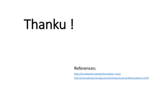Thanku !
References:
https://en.wikipedia.org/wiki/Granulation_tissue
http://practicalhorsemanmag.com/article/equine-proud-flesh-problems-31307
 