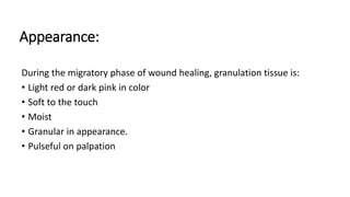 Appearance:
During the migratory phase of wound healing, granulation tissue is:
• Light red or dark pink in color
• Soft to the touch
• Moist
• Granular in appearance.
• Pulseful on palpation
 