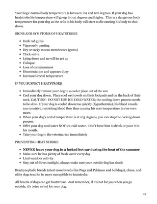 Your dogs’ normal body temperature is between 101 and 102 degrees. If your dog has
heatstroke his temperature will go up to 105 degrees and higher. This is a dangerous body
temperature for your dog as the cells in his body will start to die causing his body to shut
down.
SIGNS AND SYMPTOMS OF HEATSTROKE
Dark red gums
Vigorously panting
Dry or tacky mucus membranes (gums)
Thick saliva
Lying down and no will to get up
Collapse
Loss of consciousness
Disorientation and appears dizzy
Increased rectal temperature
IF YOU SUSPECT HEATSTROKE
Immediately remove your dog to a cooler place out of the sun
Cool your dog down. Place cool wet towels on their footpads and on the back of their
neck. CAUTION: DO NOT USE ICE COLD WATER; the cooling down process needs
to be slow. If your dog is cooled down too quickly (hypothermia), his blood vessels
can constrict, restricting blood flow thus causing his core temperature to rise even
more.
When your dog’s rectal temperature is at 103 degrees, you can stop the cooling down
process
Offer your dog cool water NOT ice-cold water. Don’t force him to drink or pour it in
his mouth.
Take your dog to the veterinarian immediately
PREVENTING HEAT STROKE
NEVER leave your dog in a locked hot car during the heat of the summer
Make sure he has plenty of fresh water every day
Limit outdoor activity
Stay out of direct sunlight, always make sure your outside dog has shade
Brachycephalic breeds (short nose breeds like Pugs and Pekinese and bulldogs), obese, and
older dogs tend to be more susceptible to heatstroke.
All breeds of dogs can get heatstroke. Just remember, if it’s hot for you when you go
outside, it’s twice as hot for your dog.
2/5
 