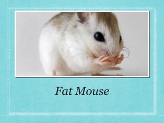 Fat Mouse

 