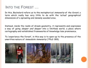 INTO THE FOREST …
In this, Bachelard refers us to the metaphorical immensity of the forest, a
term which really has very little to do with the „actual‟ geographical
dimensions of a sprawling and densely wooded area.
Instead, inside the realm of dream-geometry, it represents and expresses
a way of going deeper and deeper into a limitless world, a place where
cartography and established frameworks of knowledge lose prominence.
To „experience the forest‟, in this way is to open-up to the presence of the
unwritten nature of immediate immensity (TPoS: 189).
 