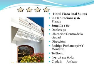  Hotel De las Flores 
 33 Habitaciones/ 81 
Plazas 
 Sencilla $ 41.85 
 Doble $ 76.06 
 Ubicación:Dentro de la 
ciuda...
