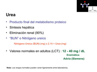 Urea
• Producto final del metabolismo proteico
• Síntesis hepática
• Eliminación renal (90%)
• “BUN” o Nitrógeno ureico
        Nitrógeno Ureico (BUN) (mg) x 2,14 = Urea (mg)


• Valores normales en adultos (LCT) : 12 - 40 mg / dL
                                                                     Enzimática
                                                                 Advia (Siemens)


Nota: Los rangos normales pueden variar ligeramente entre laboratorios.
 