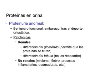 Proteínas en orina
• Proteinuria anormal:
  – Benigna o funcional: embarazo, tras el deporte,
    ortostática.
  – Patológicas
     • Renales
         – Alteración del glomérulo (permite que las
           proteínas se filtren)
         – Alteración del túbulo (no las reabsorbe)
     • No renales (mieloma, fiebre, procesos
       inflamatorios, quemaduras, etc.)
 